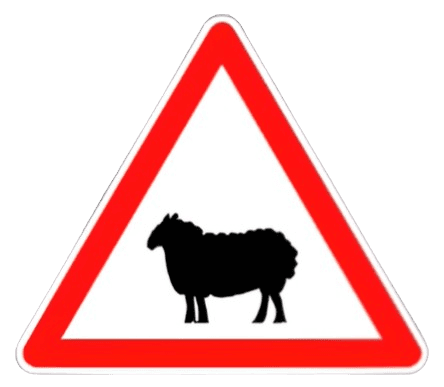 خطر مرور الحيوانات الأليفة