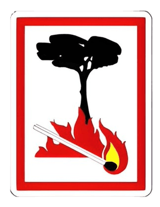 خطر نشوب حريق فالغابة